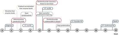 Case report: Pharmacokinetics of pembrolizumab in a patient with stage IV non–small cell lung cancer after a single 200 mg administration